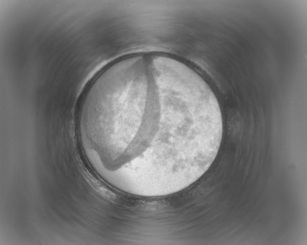 X0000064041460200602171631