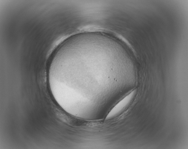 X0000064041461200602171631