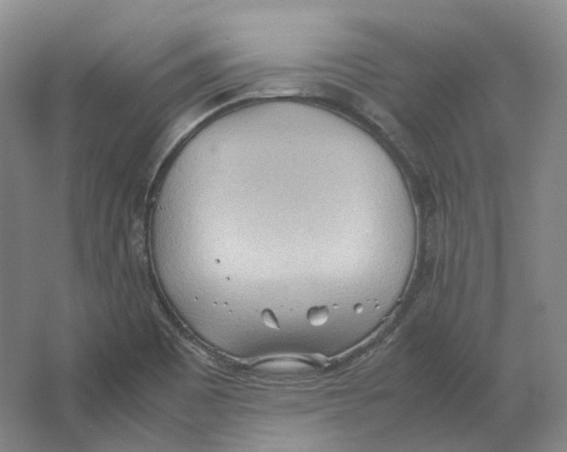 X0000064041465200602171631