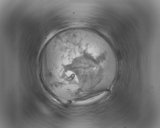 X0000064041467200602171631