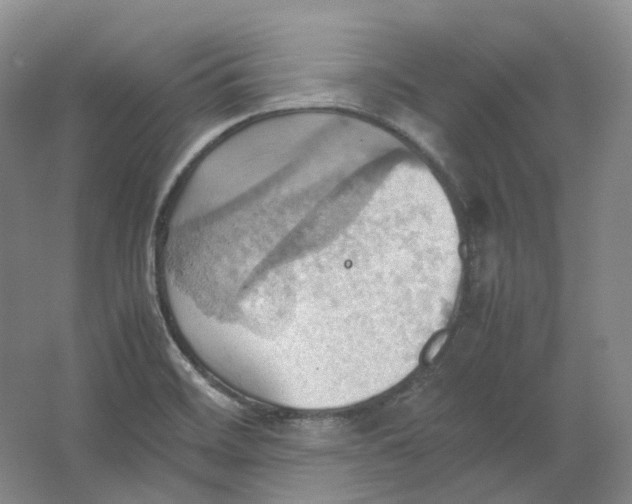 X0000064041468200602171631