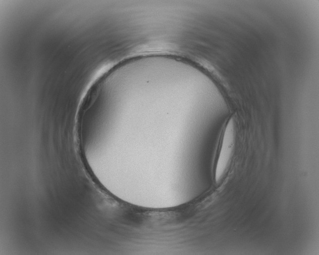 X0000064041469200602171631