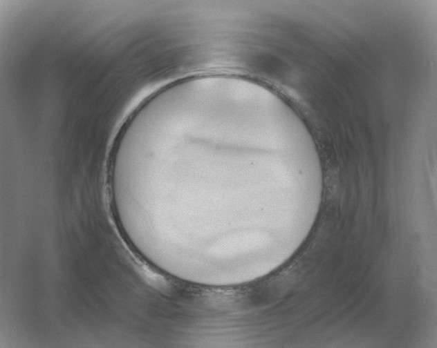 X0000064041470200602171631