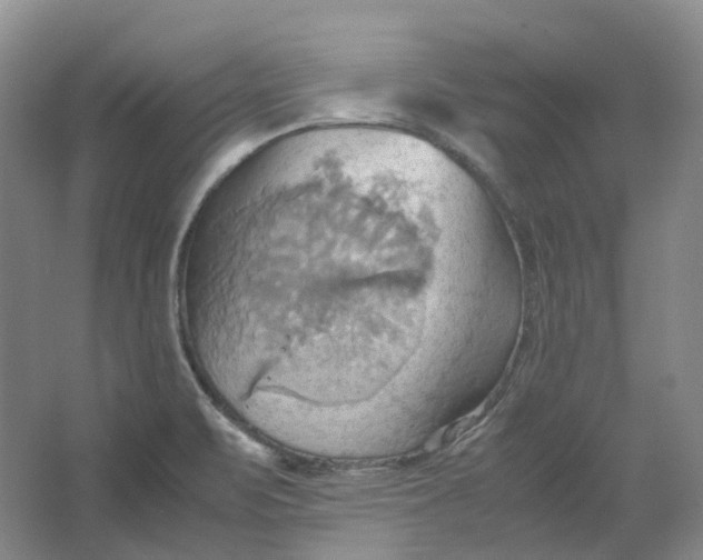 X0000064041471200602171631