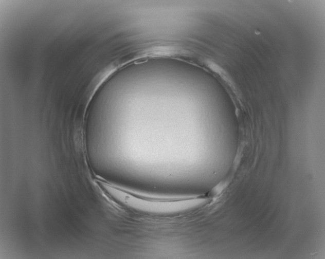 X0000064041473200602171631