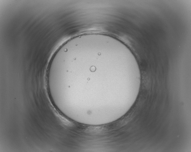 X0000064041474200602171631