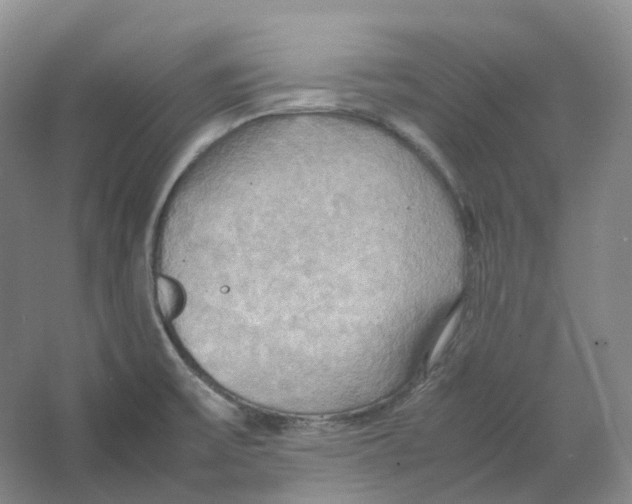 X0000064041475200602171631