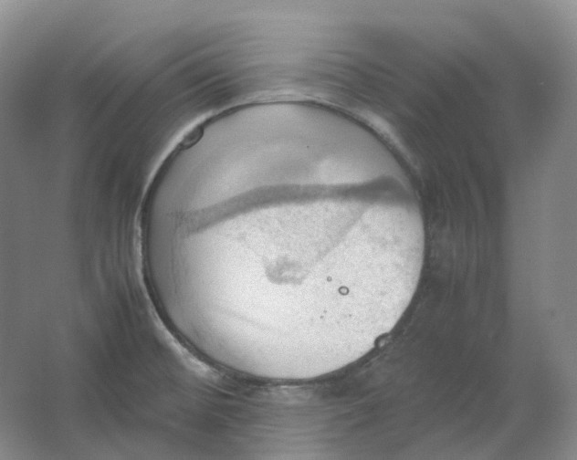 X0000064041476200602171631