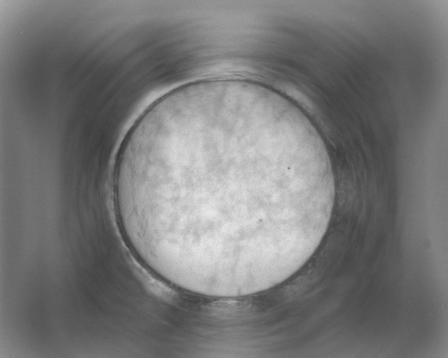 X0000064041478200602171631