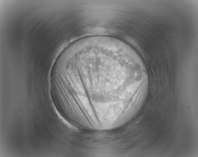 X0000064041479200602171631