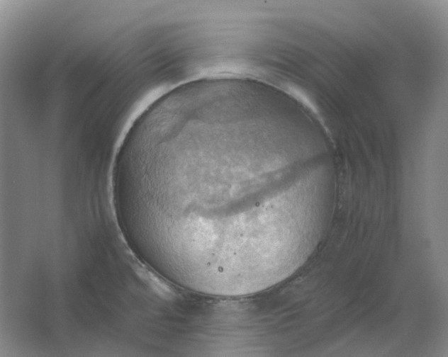 X0000064041480200602171631