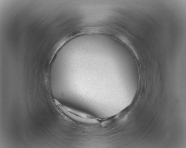 X0000064041481200602171631