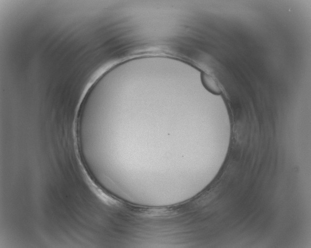 X0000064041482200602171631