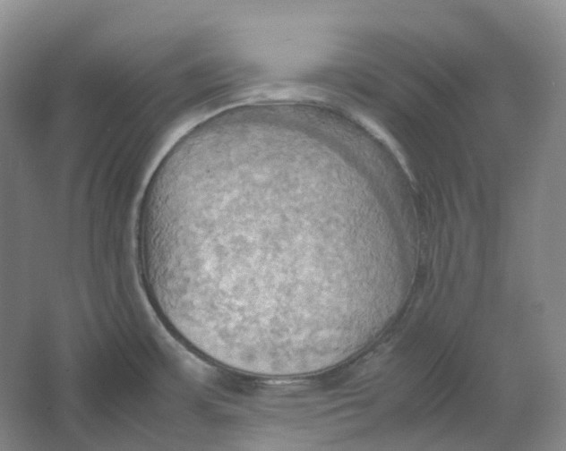 X0000064041483200602171631