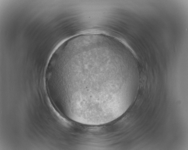 X0000064041484200602171631