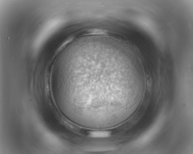 X0000064041487200602171631