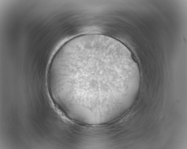 X0000064041488200602171631