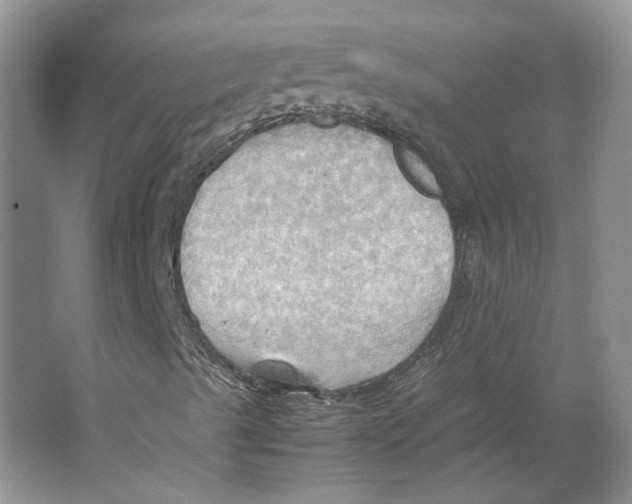 X0000064041489200602171630