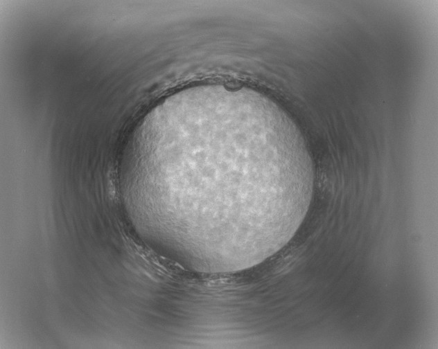 X0000064041490200602171630