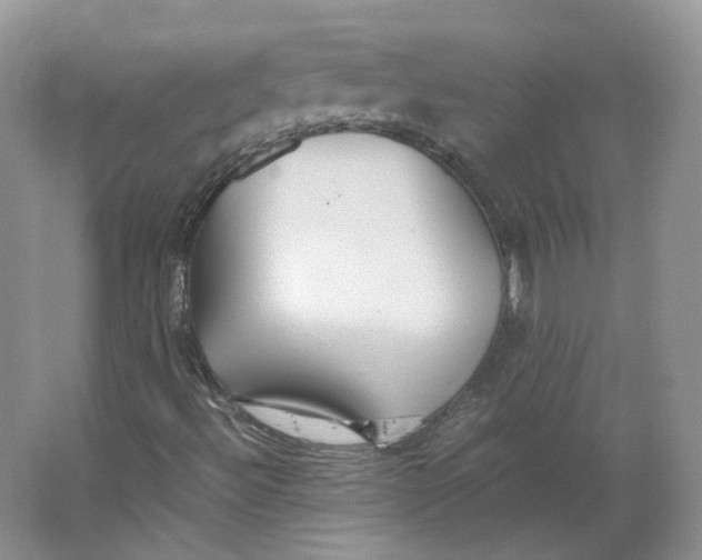 X0000064041492200602171630