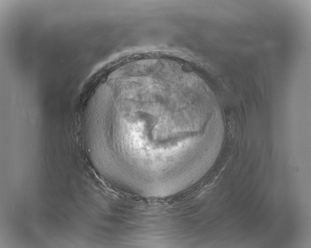 X0000064041494200602171630