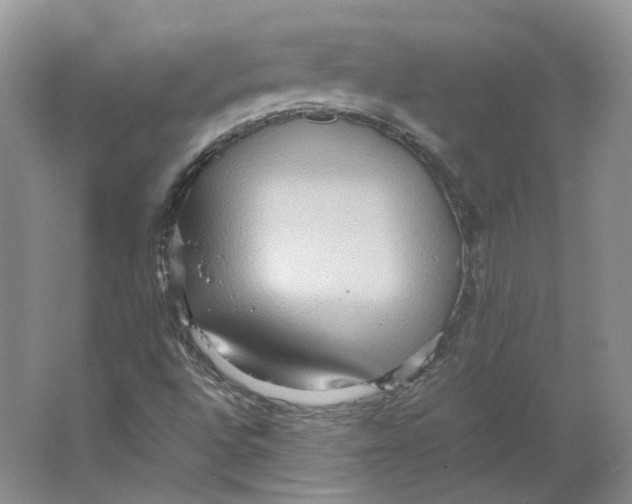 X0000064041496200602171630