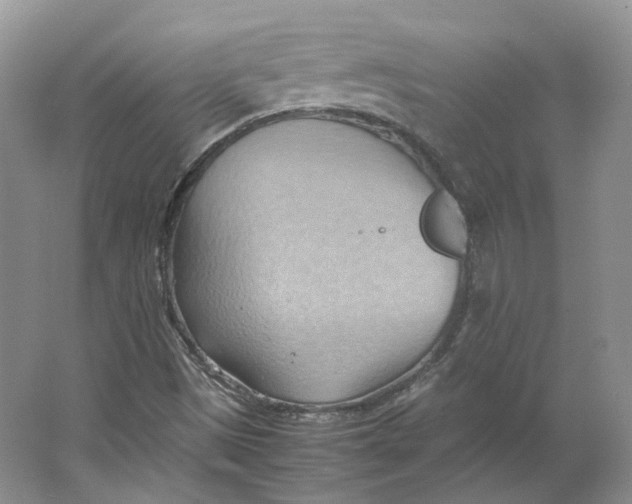 X0000064041497200602171630