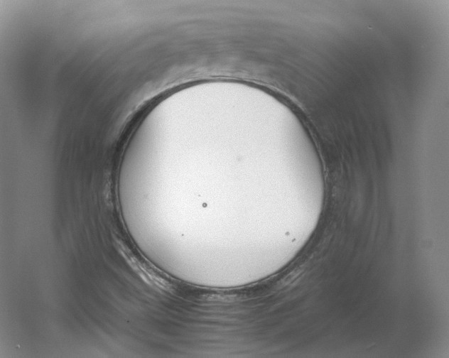 X0000064041499200602171630