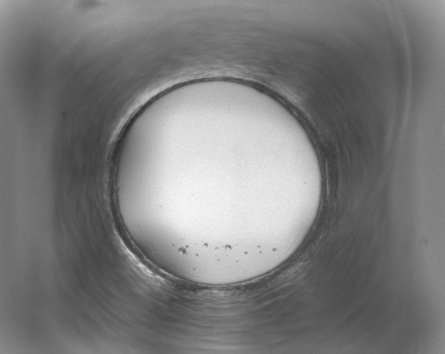 X0000064041500200602171630