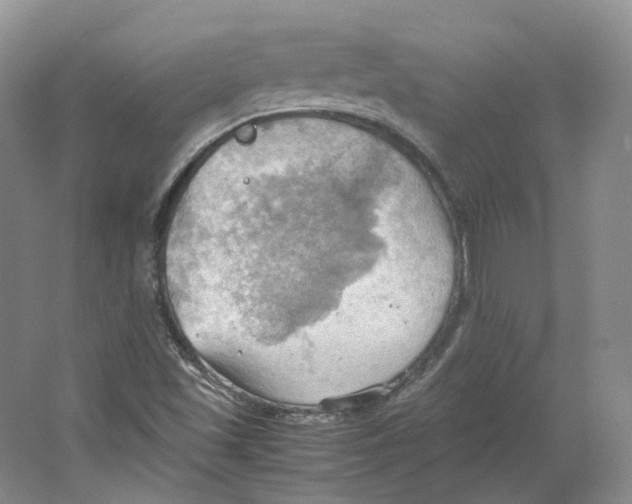 X0000064041501200602171630