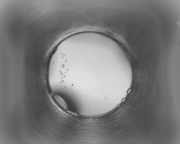 X0000064041504200602171630