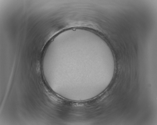 X0000064041505200602171630