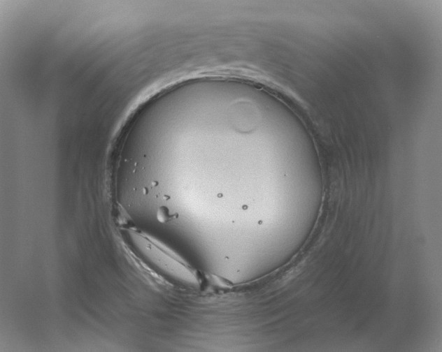 X0000064041506200602171630