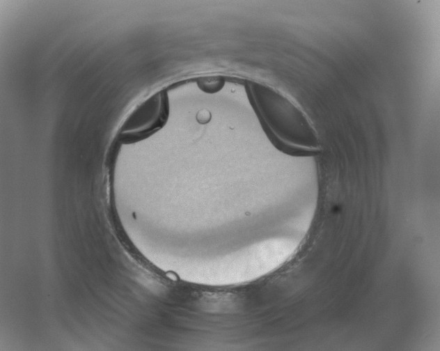 X0000064041509200602171630