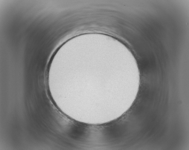 X0000064041514200602171631