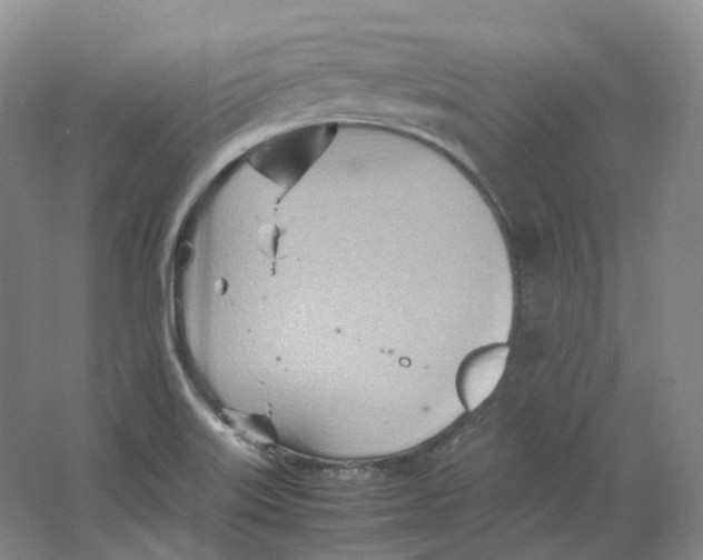 X0000064041515200602171631