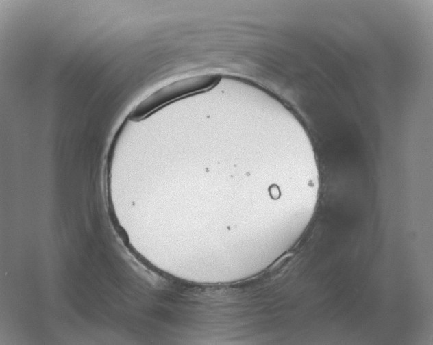 X0000064041516200602171631