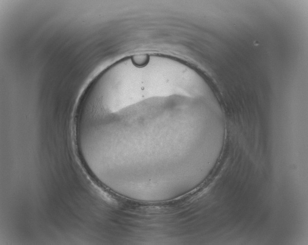 X0000064041517200602171631