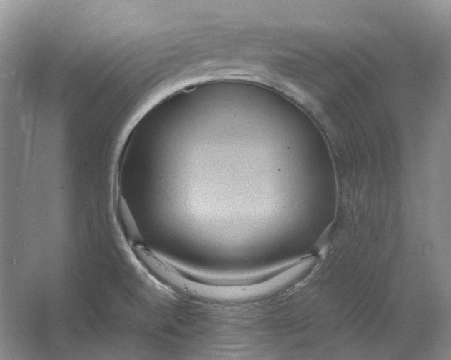 X0000064041520200602171631