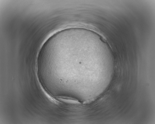 X0000064041523200602171631