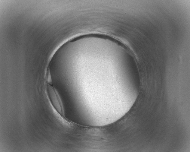 X0000064041524200602171631