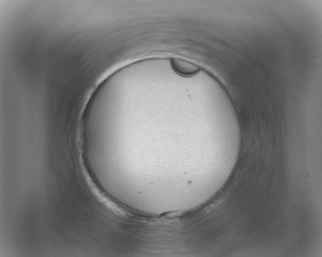 X0000064041526200602171631