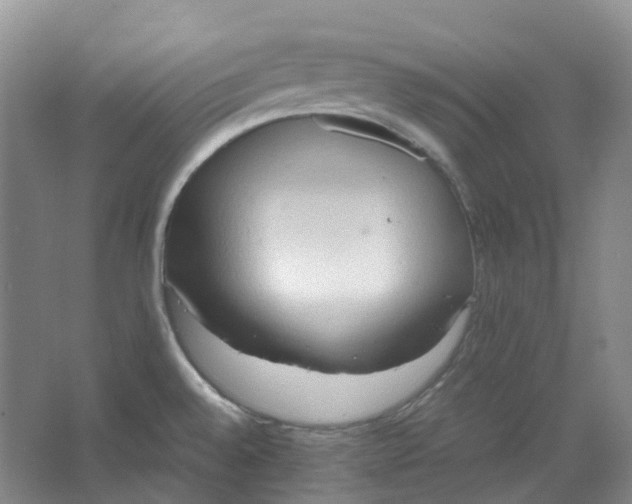 X0000064041528200602171631