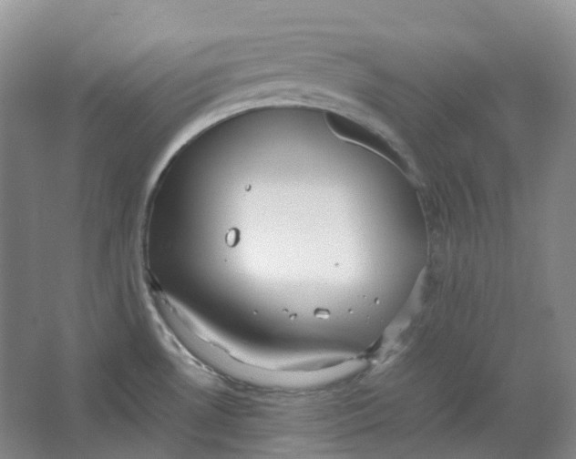 X0000064041530200602171631