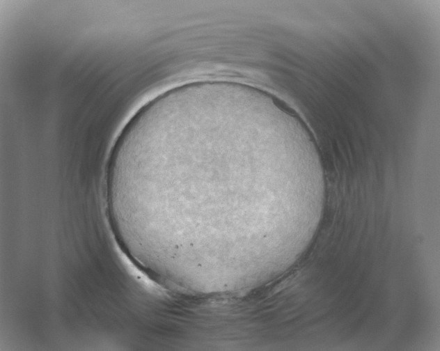 X0000064041531200602171631