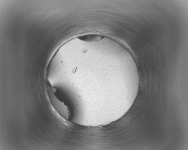 X0000064041532200602171631