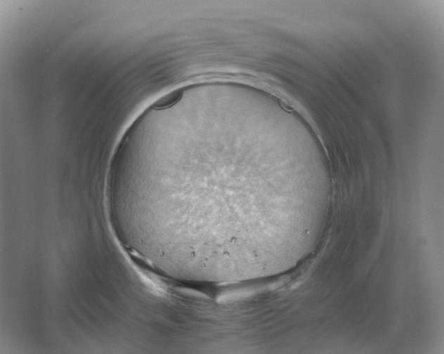 X0000064041533200602171631