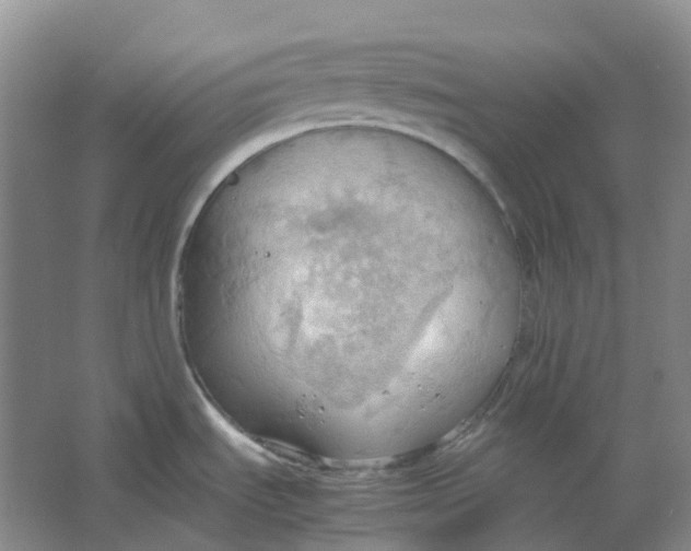 X0000064041535200602171631