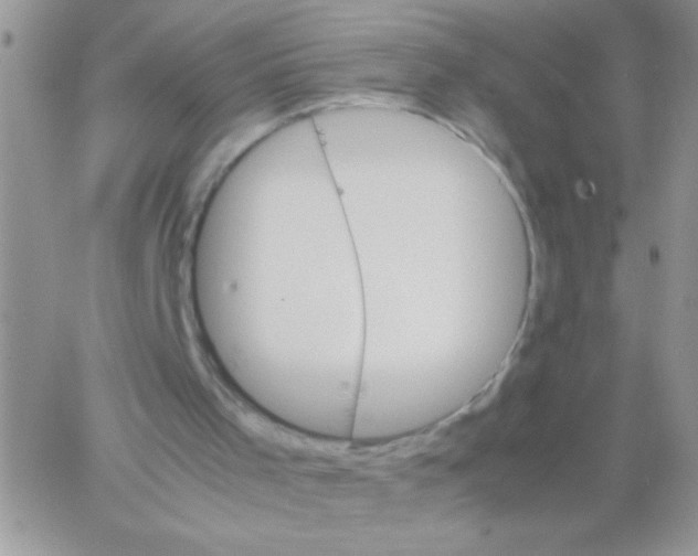 X0000064040001200602242332