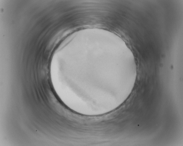 X0000064040002200602242332